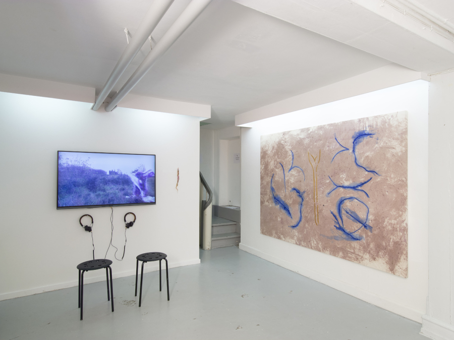 Art collector, painting, Sonja Strange, Sambucus Nigra, Copenhagen, Art