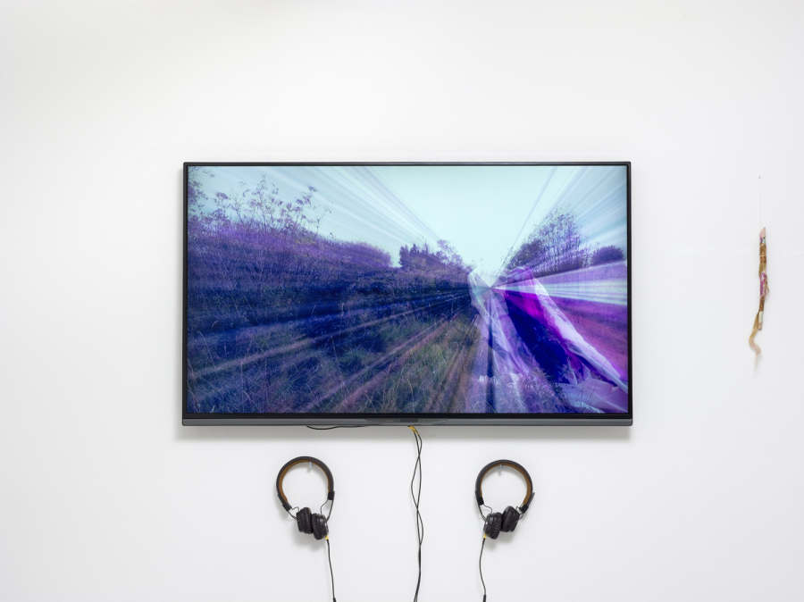 Art collector, painting, Sonja Strange, Sambucus Nigra, Copenhagen, Art