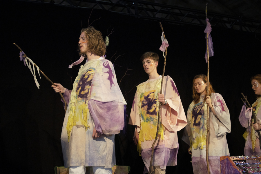 sonja strange. rønnebæksholm, kunstner, performance, kvinde, 