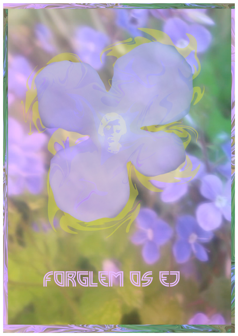 Sonja Strange, artist, billedkunstner, Astrid Holm 