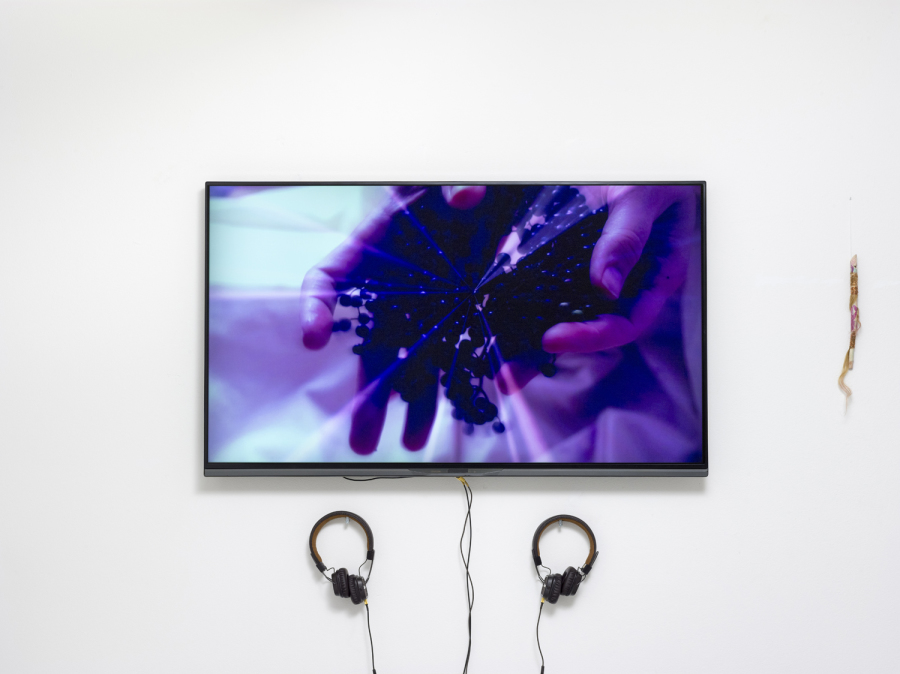 Art collector, painting, Sonja Strange, Sambucus Nigra, Copenhagen, Art