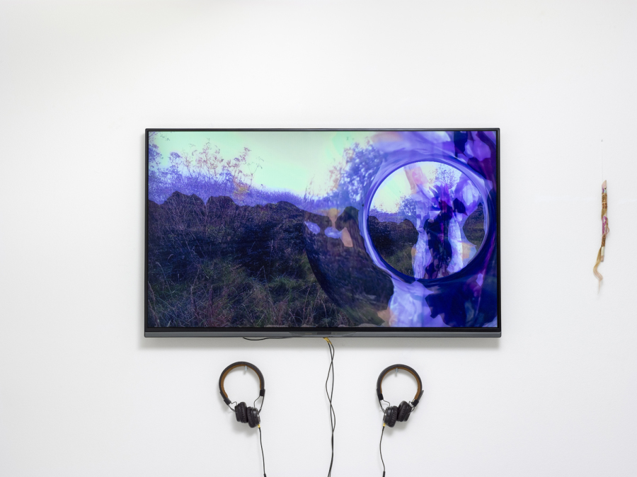 Art collector, painting, Sonja Strange, Sambucus Nigra, Copenhagen, Art